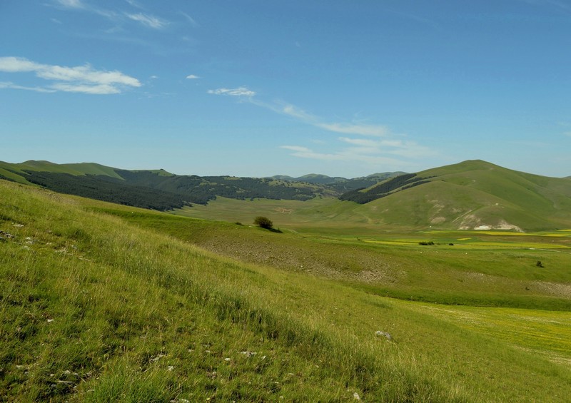 Altino con gli amici delle Marche